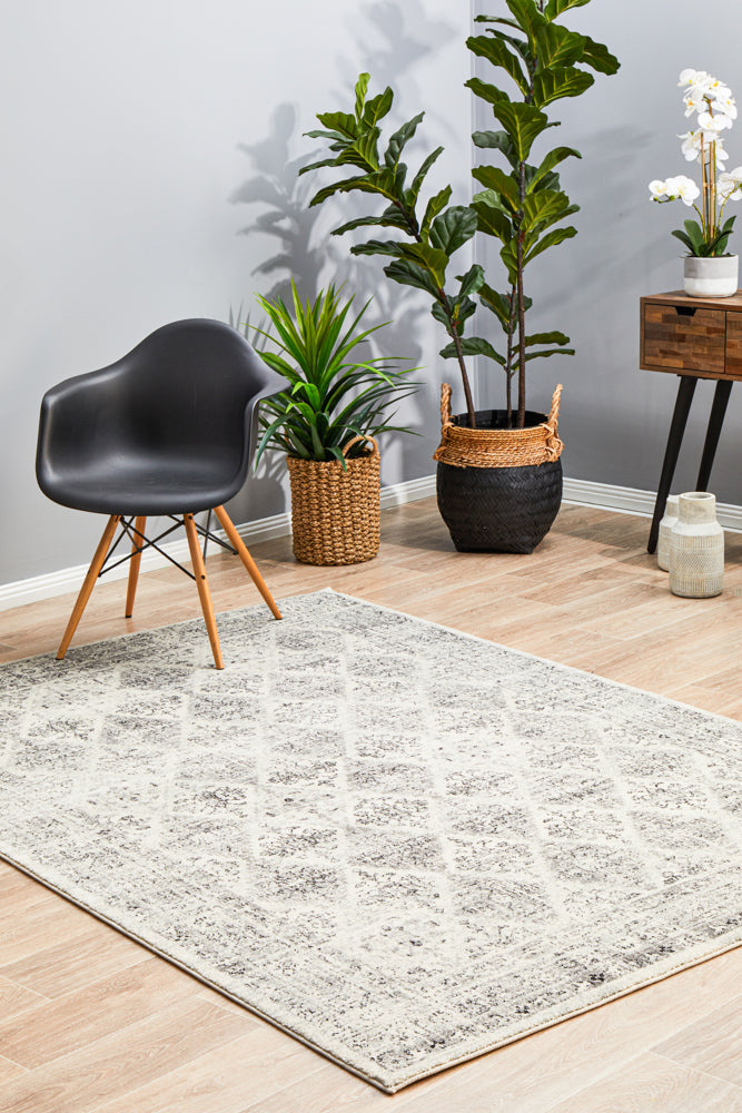 Epoch 999 Grey Rug