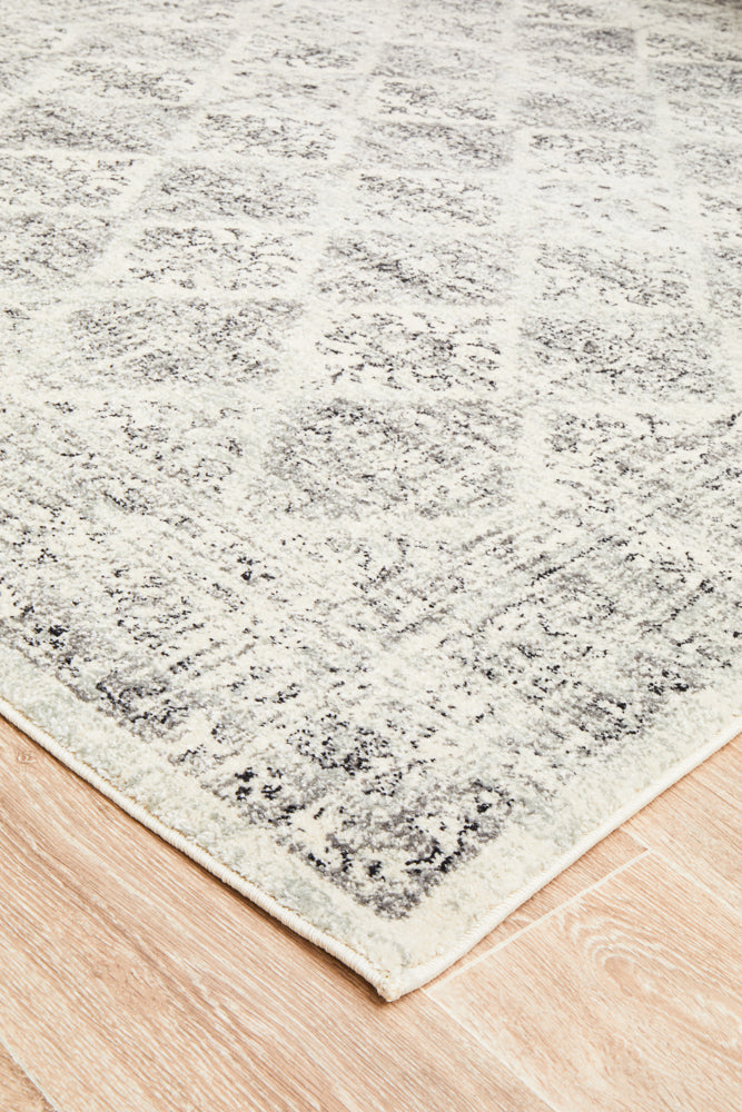 Epoch 999 Grey Rug