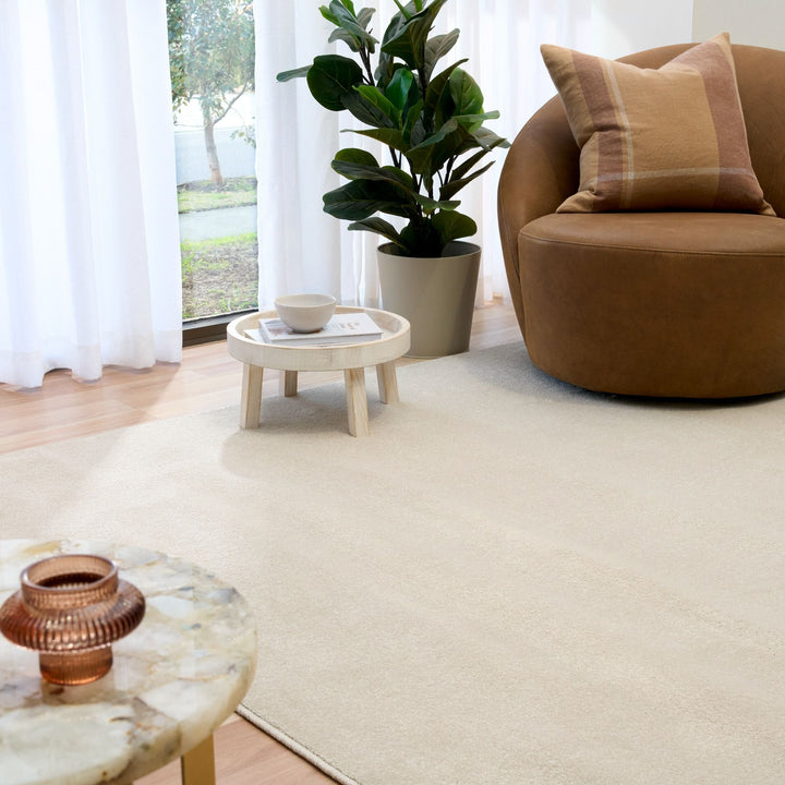 Modern living room with beige rug, brown chair, and indoor plant.