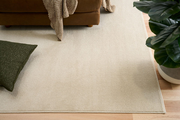 Minimalist beige rug in living room.