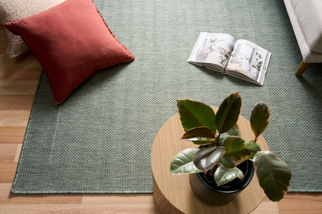Green outdoor rug, with plant and cushions