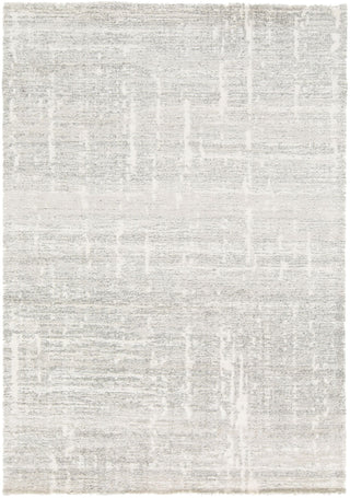 Full view of a rectangular grey patterned rug.