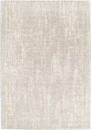 Top-down view of a rectangular beige rug.