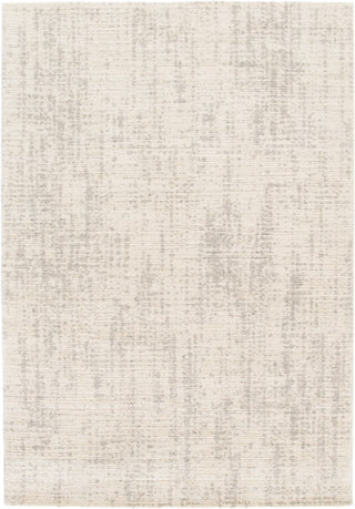 Top-down view of a patterned beige rug.