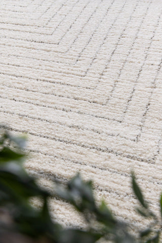 A textured cream rug with linear design partially framed by greenery.