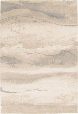 Full top view of beige and gray patterned rug.