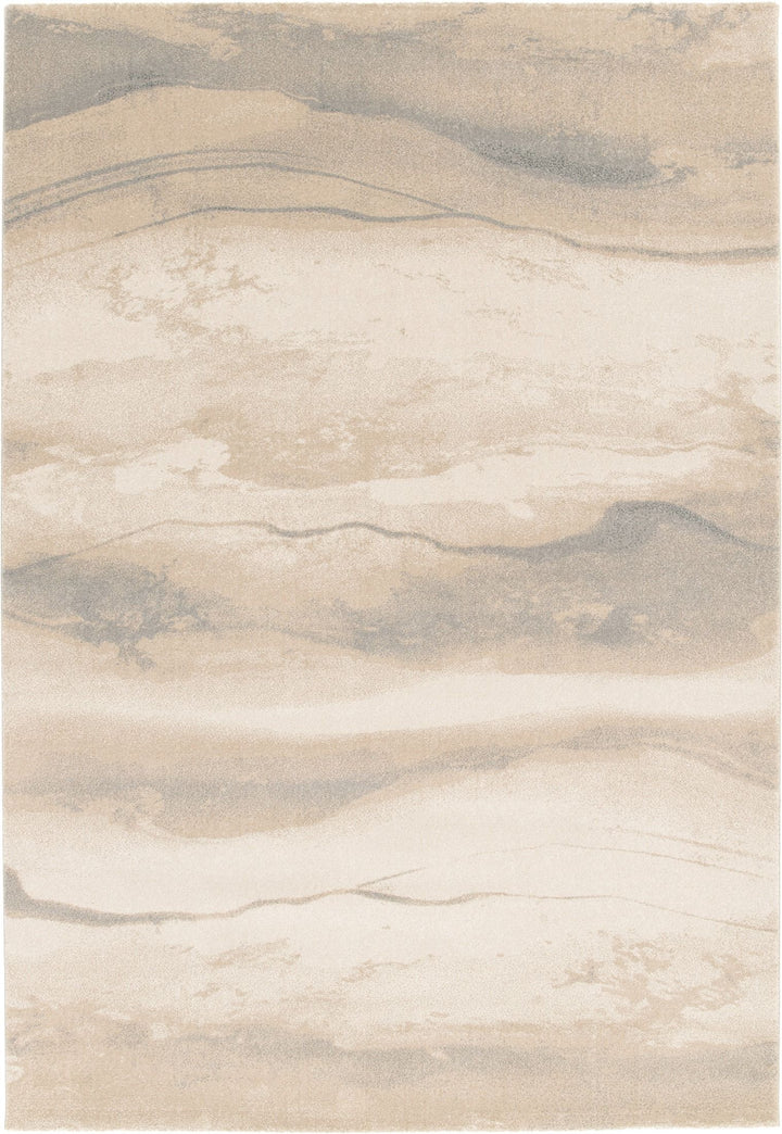 Full top view of beige and gray patterned rug.
