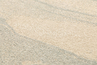 Soft textured surface of beige and gray rug.