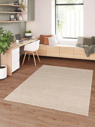 Modern home office with a light beige rug placed on wooden flooring.