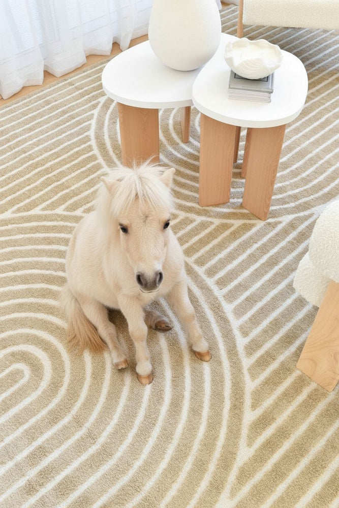 Coco 02 Cocoa Modern Rug