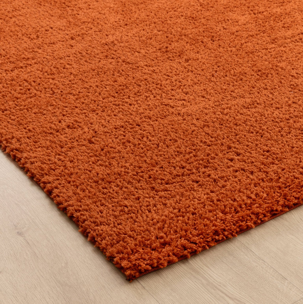 Lune Terracotta Shaggy Rug — top-down flat lay corner
