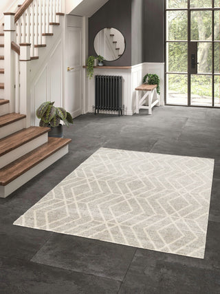 Grey patterned rug in a bright staircase hallway.