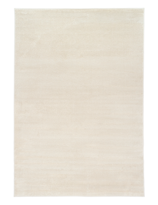 Cyrus ecru rug full view on floor.