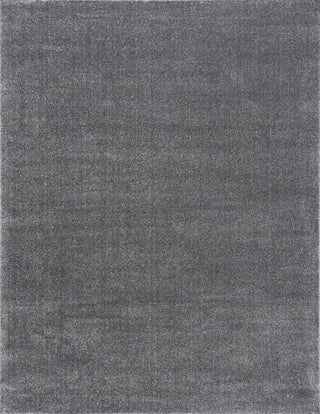 Dark grey rug shown in full rectangular view on a white background.