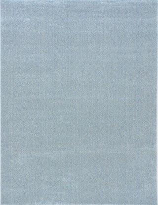 Detailed texture shot of the light blue rug surface.