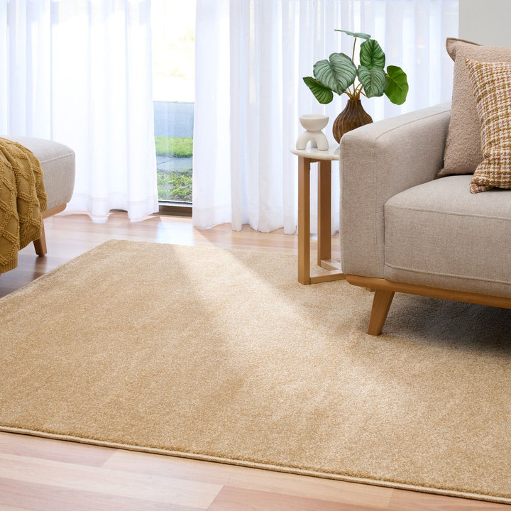 Beige rug placed in living room with modern décor.