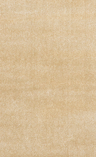 Beige rug fabric swatch showing surface texture.