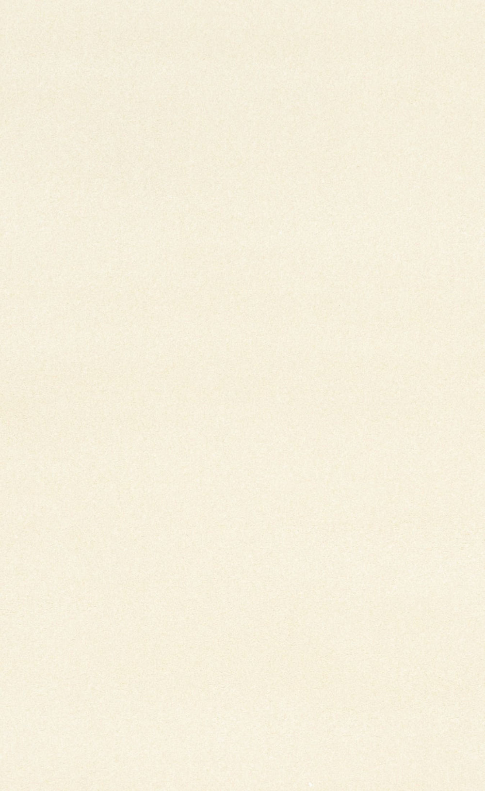 Fabric swatch of cream-colored rug texture in close-up.