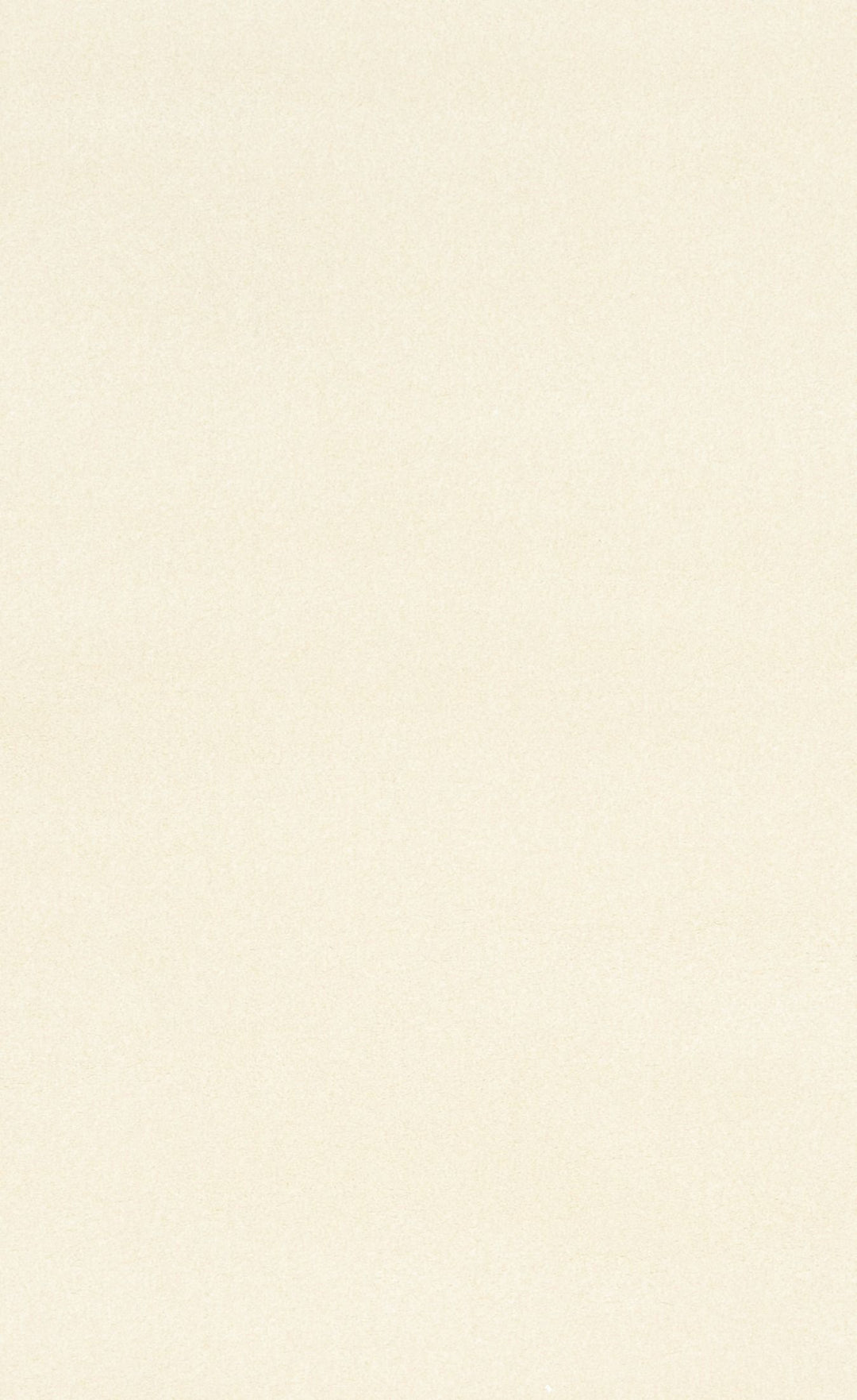Fabric swatch of cream-colored rug texture in close-up.