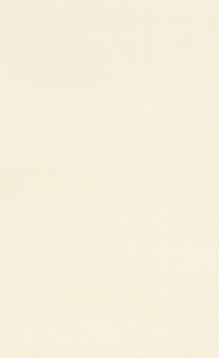 Fabric swatch of cream-colored rug texture in close-up.