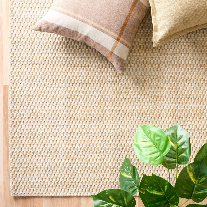Top view of an ivory-tan basketweave area rug with bound edge on light wood flooring, styled with two throw pillows and a green leafy plant.