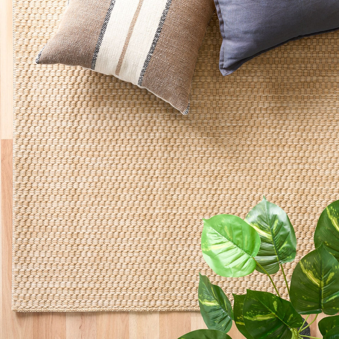 Tan woven rug (Barton 41503/70) styled in a room, top-down view with two throw pillows, a green plant, and a gold tray on a light wood floor.