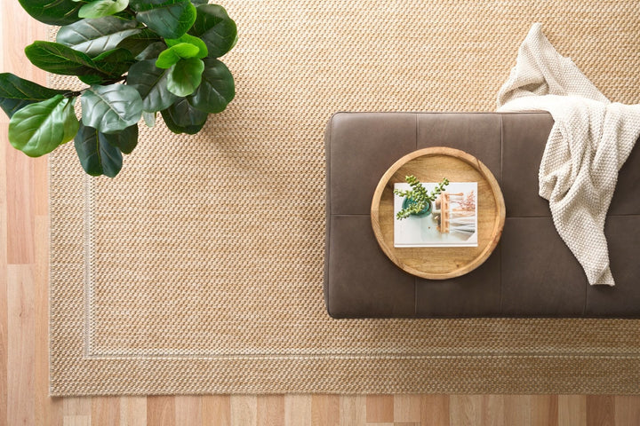 Top-down view of a beige woven area rug with a light border on a wood floor, beside a brown bench holding a round tray and knit throw, and a leafy potted plant.