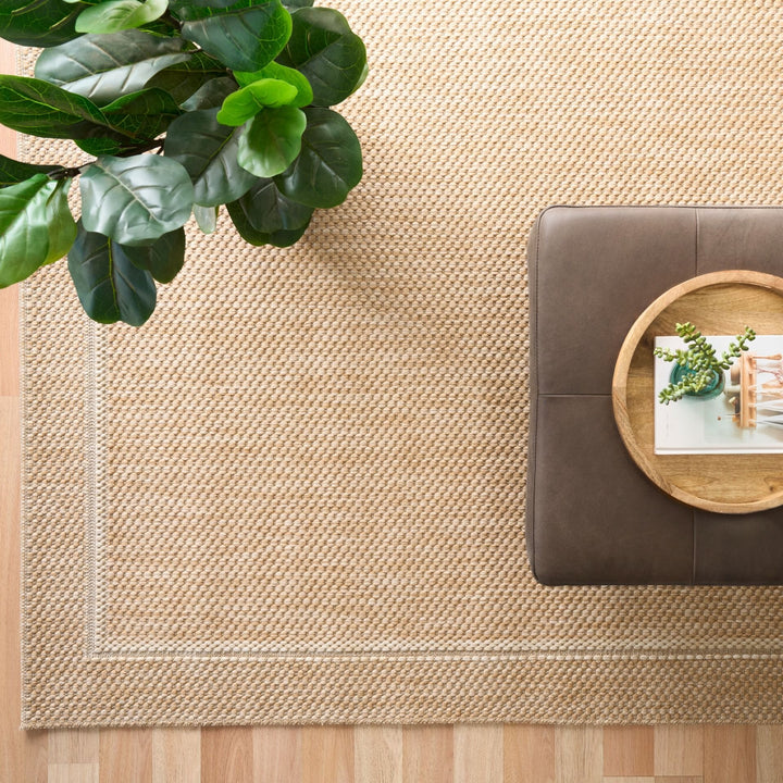 Top-down view of a beige woven area rug with a light border on a wood floor, beside a brown bench holding a round tray and knit throw, and a leafy potted plant.