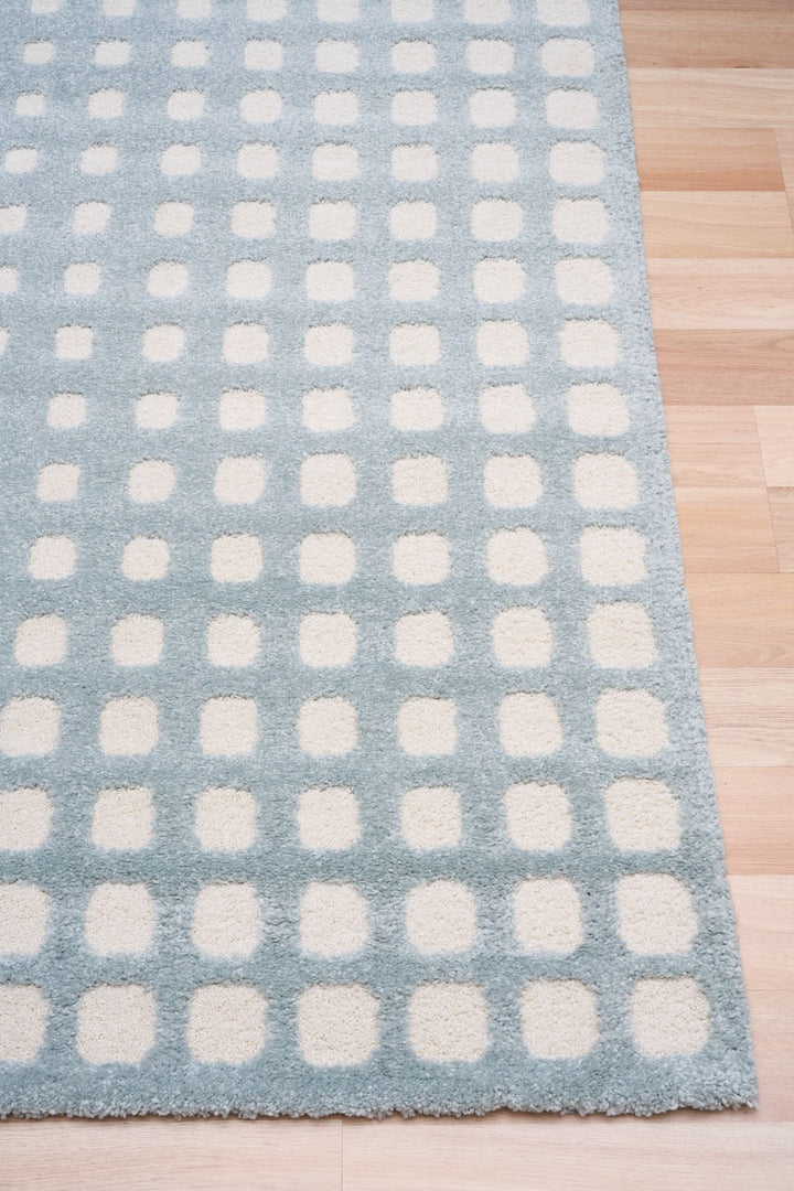 Blue and white patterned rug on wooden floor.