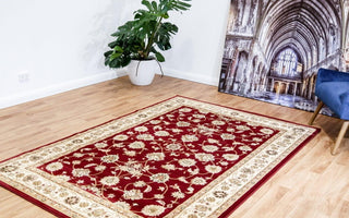https://mosinternationalrugs.com.au/media/catalog/product/cache/f4d26b26cba958cfb58fa18f5de0f5fa/B/A/BAGRABAH173_BURGUNDY.jpg