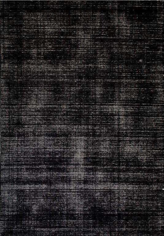 HAMPTON BLACK WHITE RUG Wool Viscose Rug