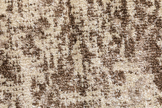 Kali Cream 8021 Rug - Trends Rugs