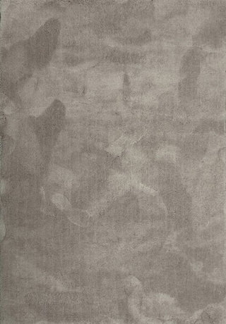 KoKo Taupe Rug - Trends Rugs